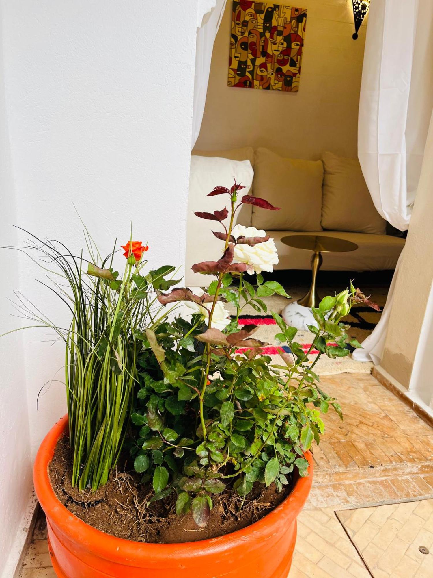 Riad Darna 4 Chambres Avec Piscine Et Petit Dejeuner 마라케시 외부 사진